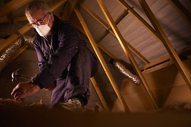 Best Insulation Replacement Services  in Mount Carmel, OH